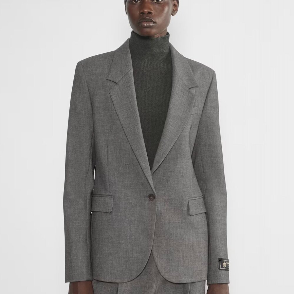 Babaton Producer Blazer Aritzia